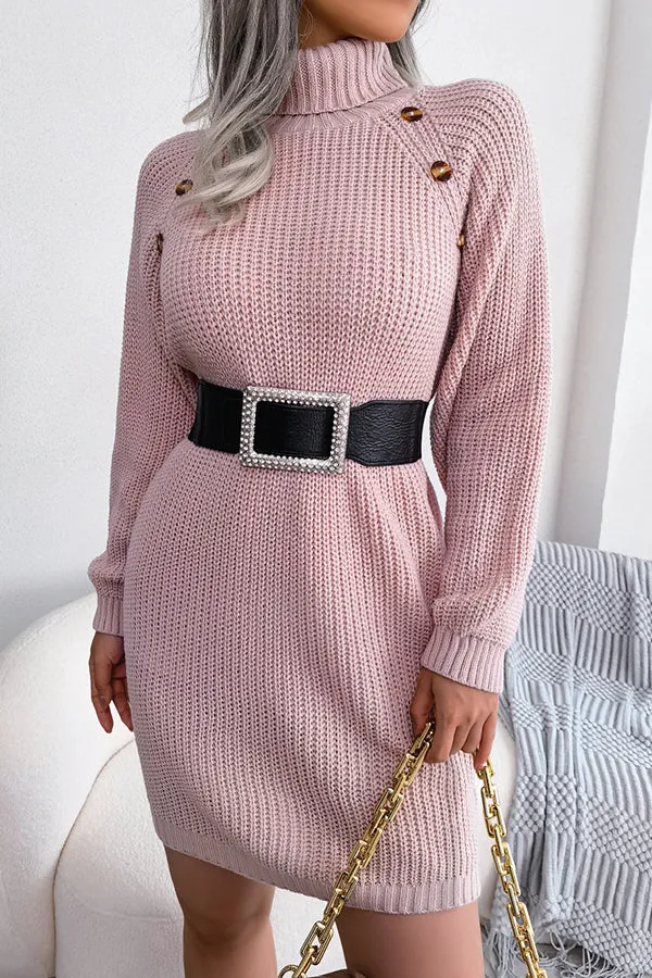 Baby It's You Knit Turtleneck Sweater Dress