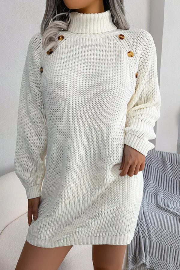 Baby It's You Knit Turtleneck Sweater Dress