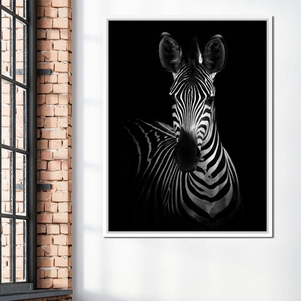 Black and White Zebra