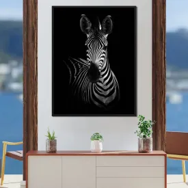 Black and White Zebra