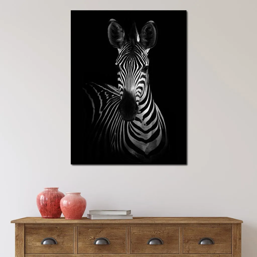 Black and White Zebra