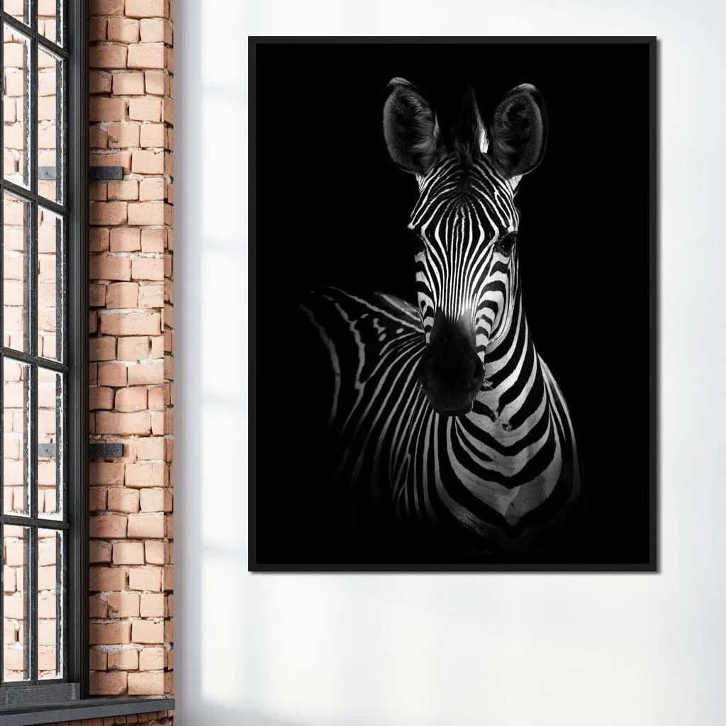 Black and White Zebra