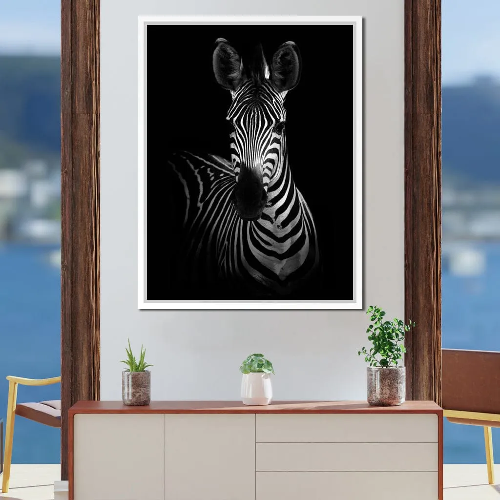 Black and White Zebra