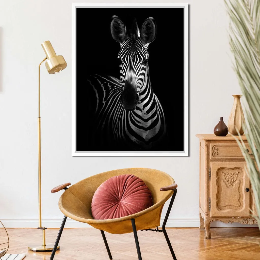 Black and White Zebra