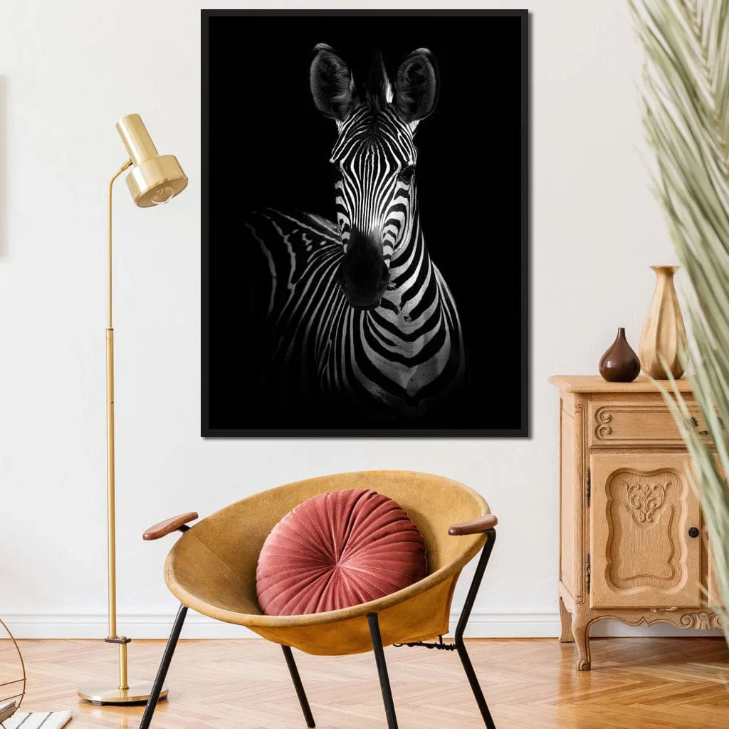 Black and White Zebra