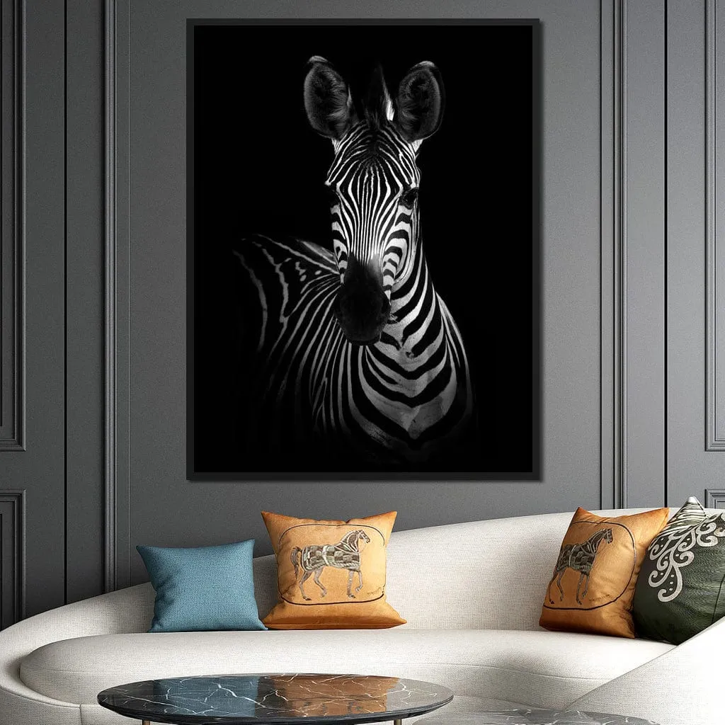 Black and White Zebra