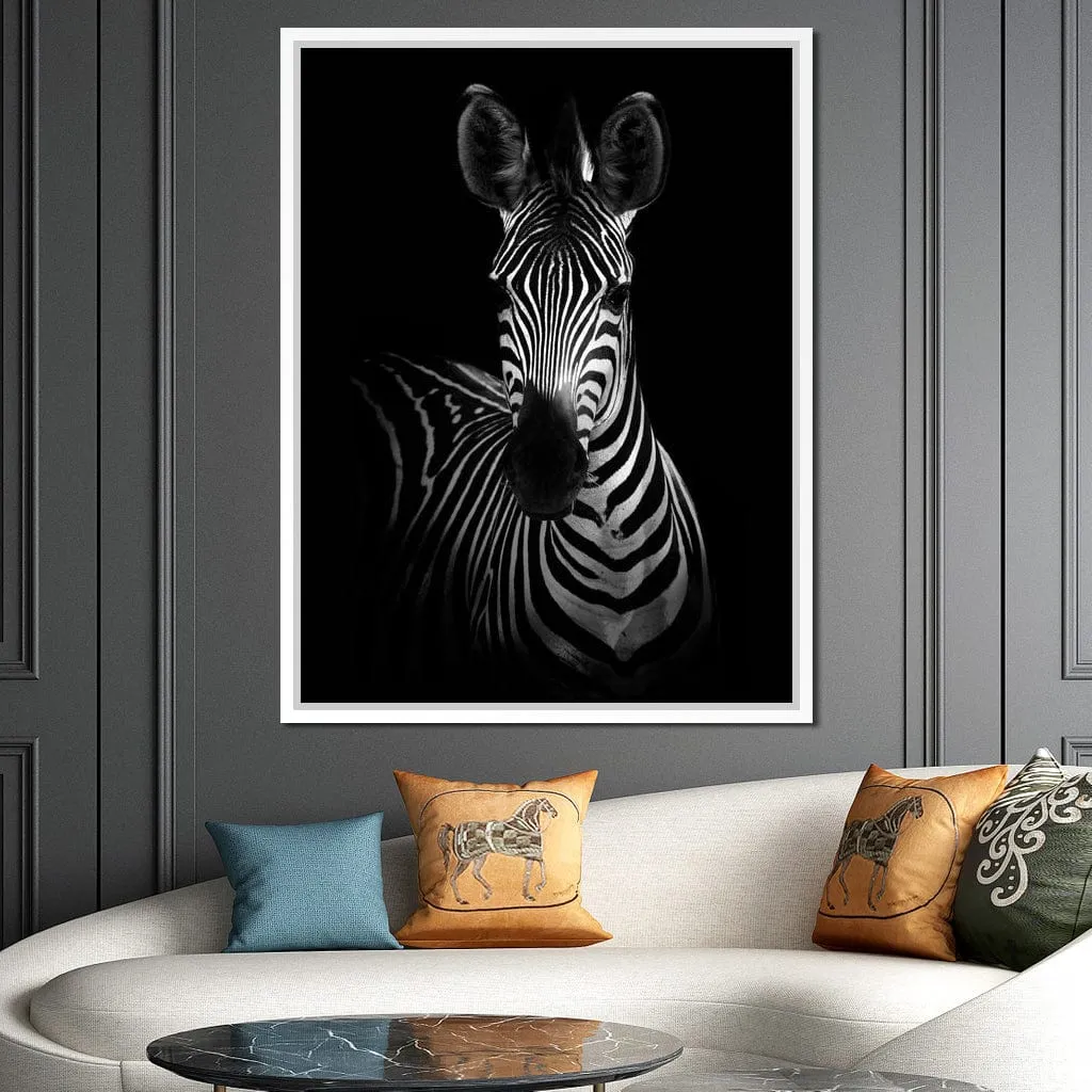 Black and White Zebra