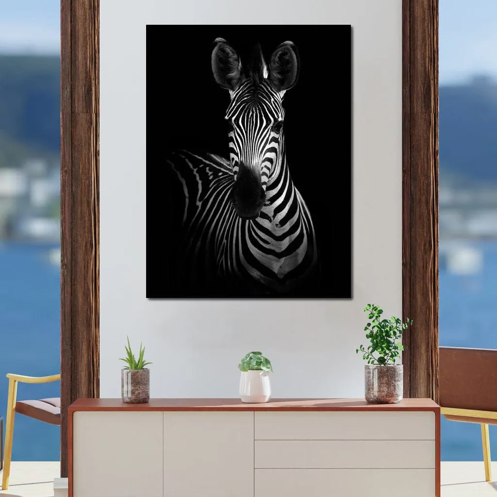 Black and White Zebra