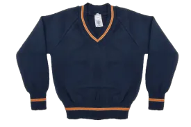 Mens Long Sleeve Striped Jersey - Mayville in Navy and Orange