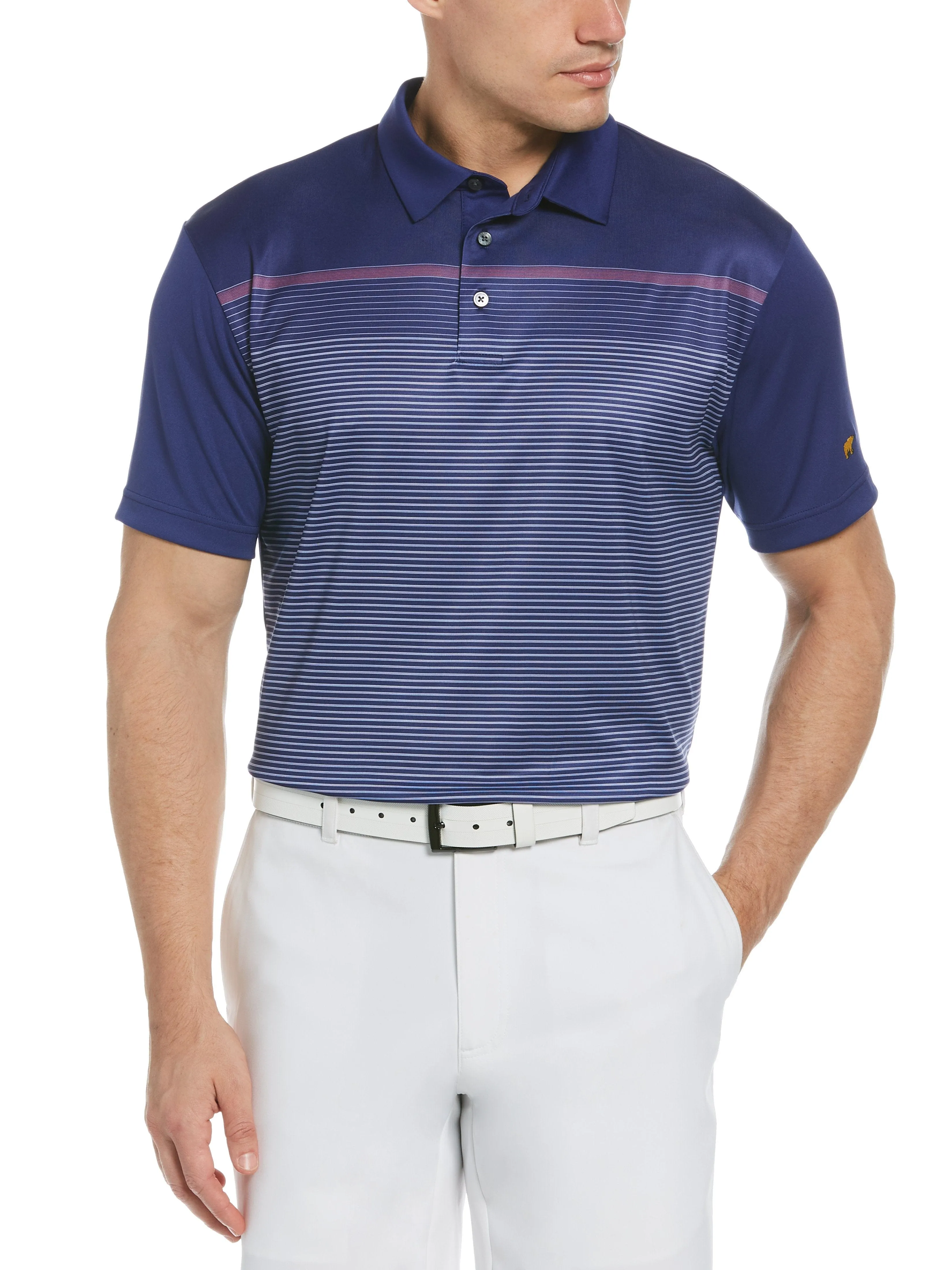 Men's Striped Golf Polo