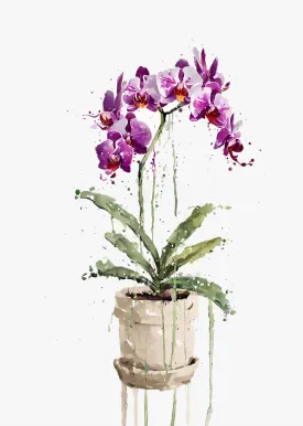 Purple Orchid Wall Art Print