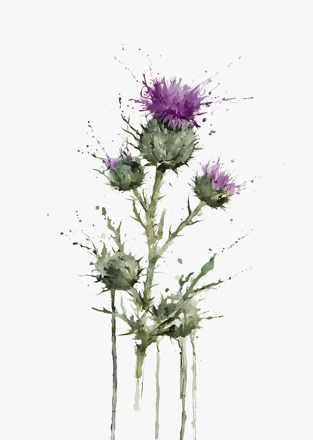 Scottish Thistle Wall Art Print